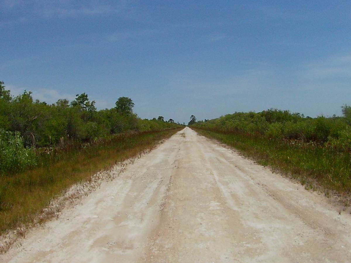 Sandy Road photo 5