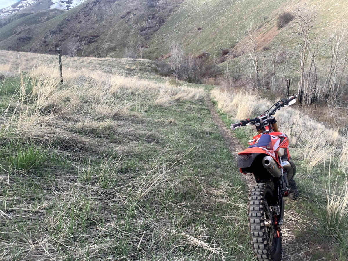 Wahlstrom Hollow Trail trail photo