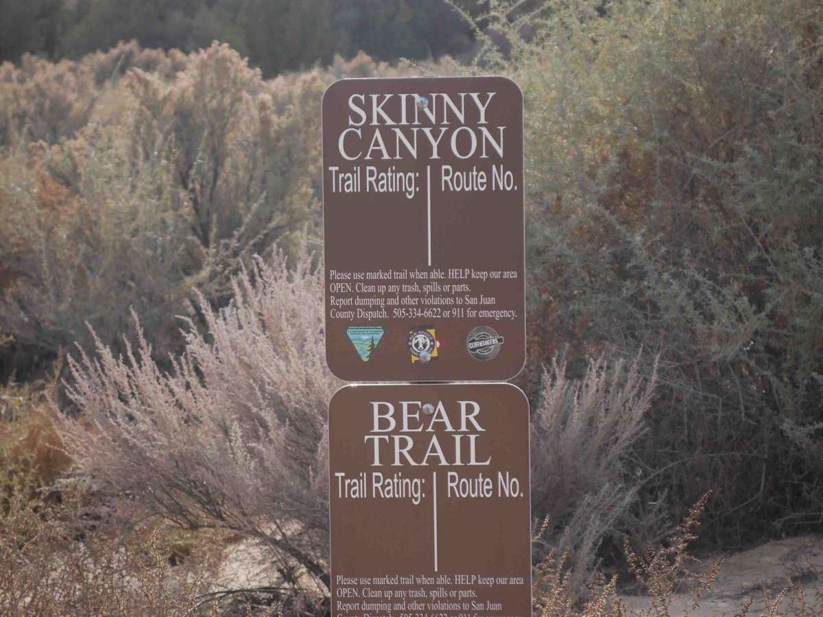 Bear Trail photo 3