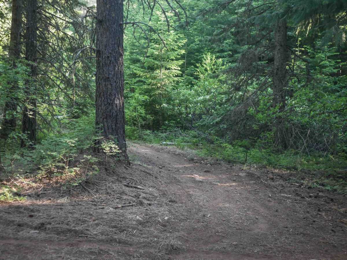 576D photo 2