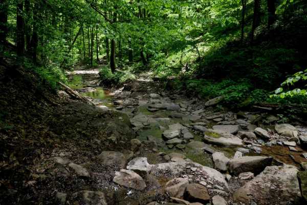 Trail 18