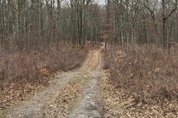 Wolf Run Trail