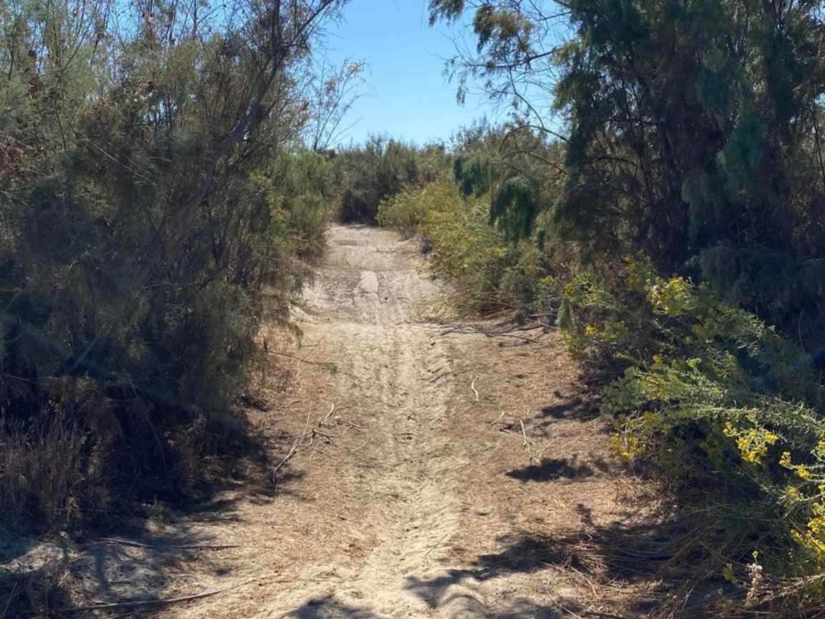 Mision Santa Maria Dunes photo 4