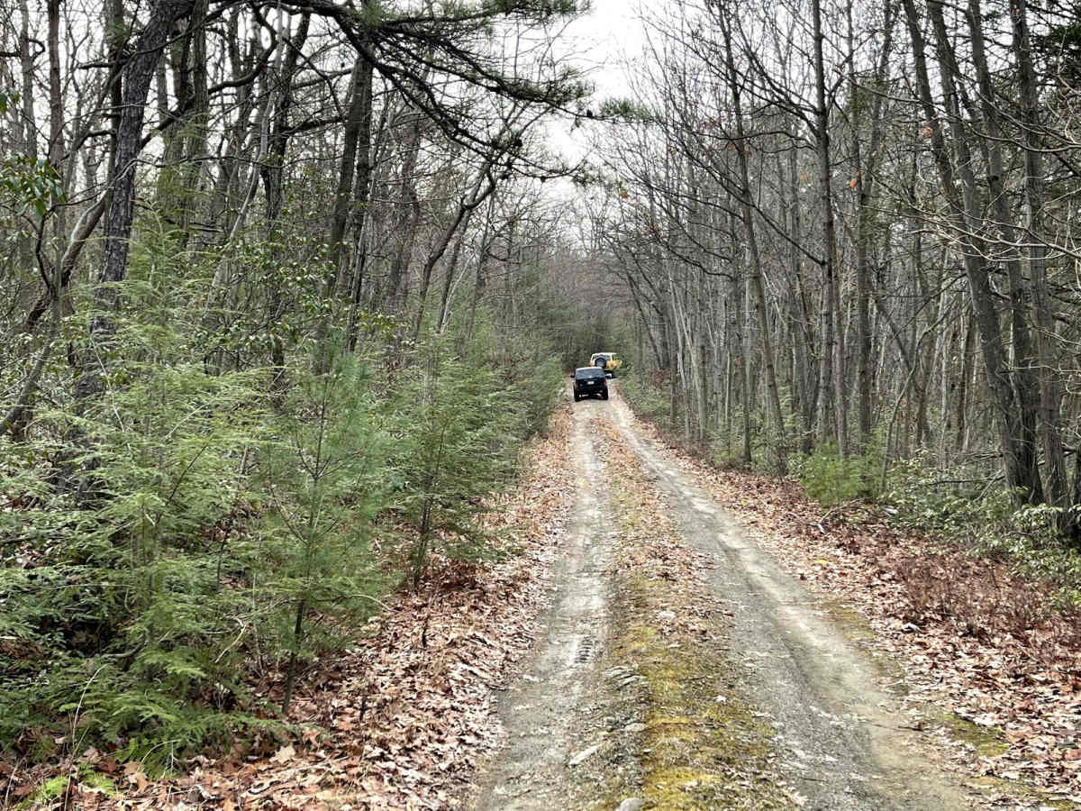 Henstep Valley Trail photo 3