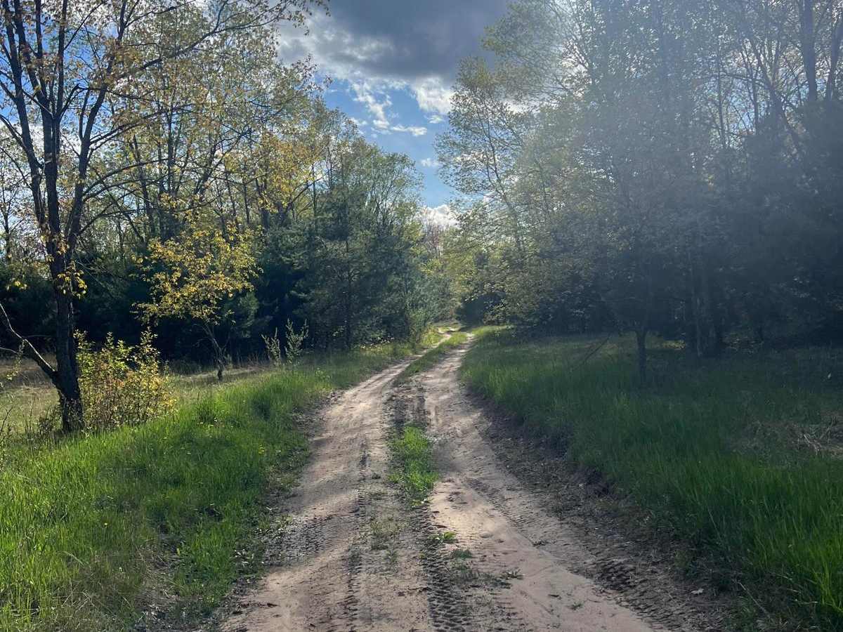 Wildlife Project Trail photo 3
