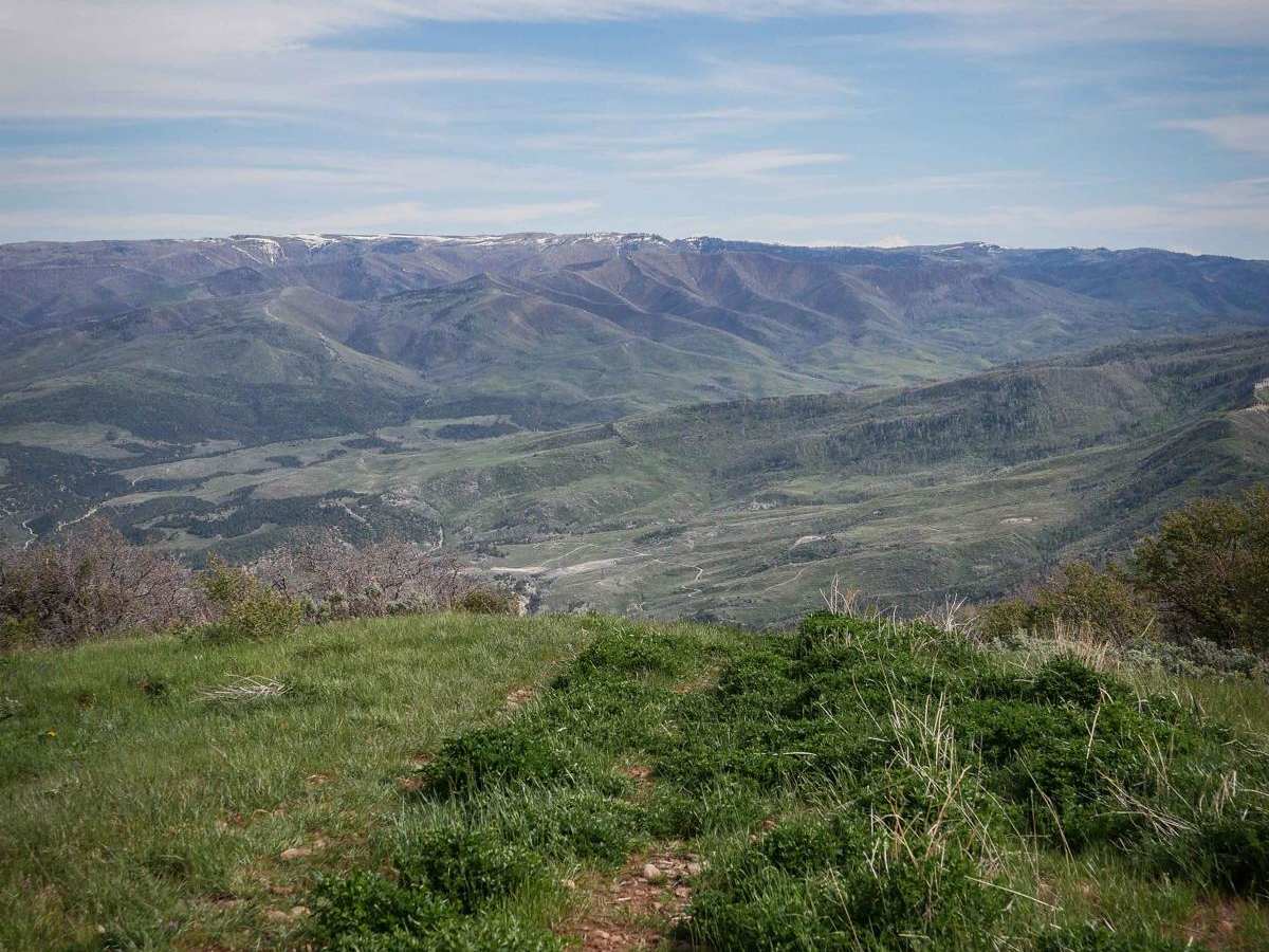 Teat Mountain ATV #202 photo 6