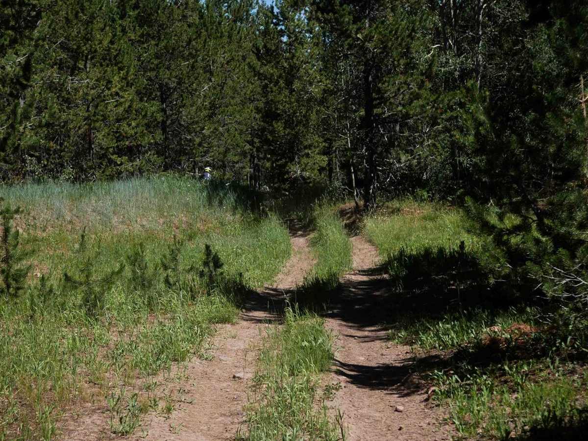 Trail Hollow #3368  photo 6