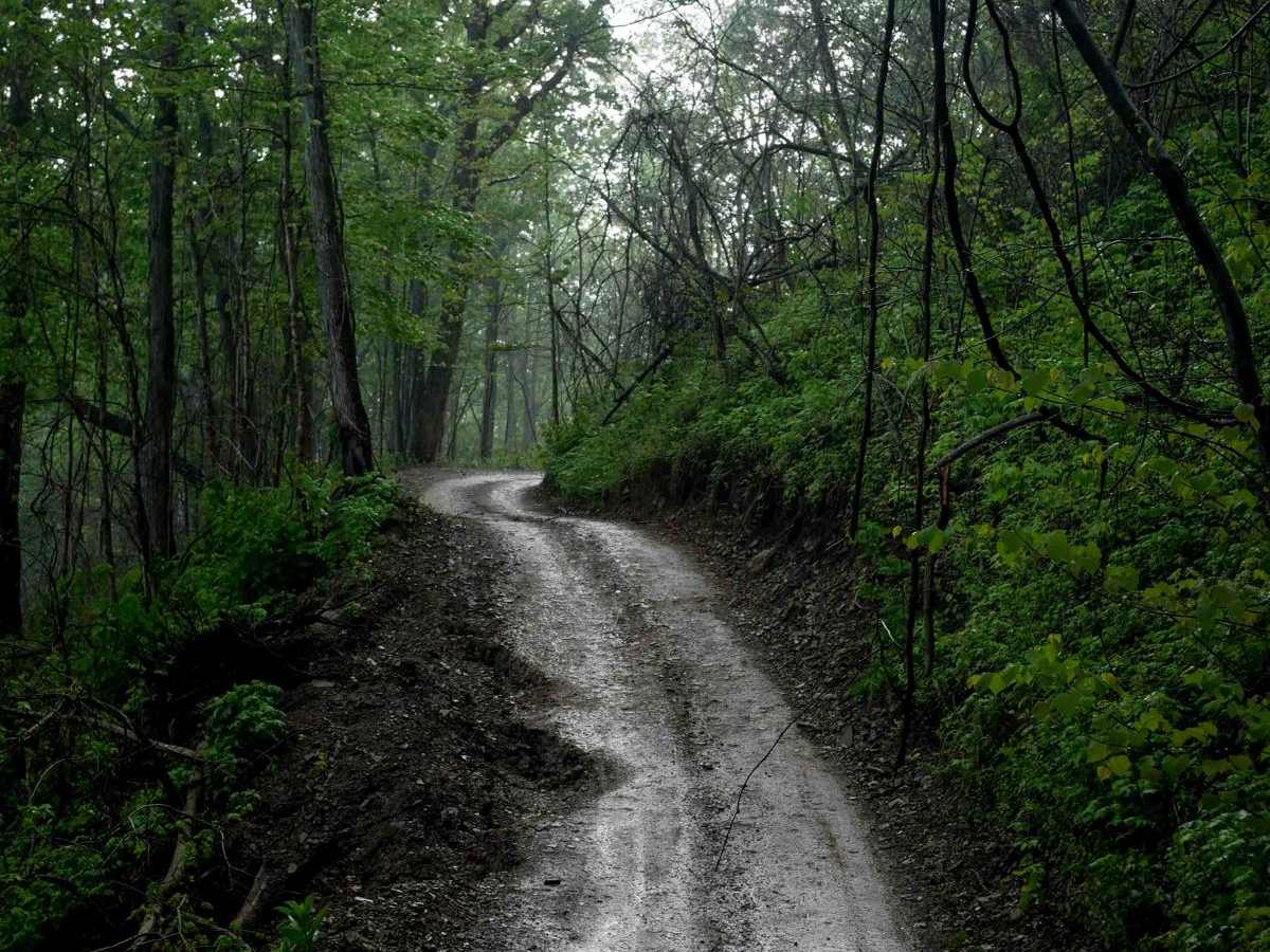 DA 61 trail photo