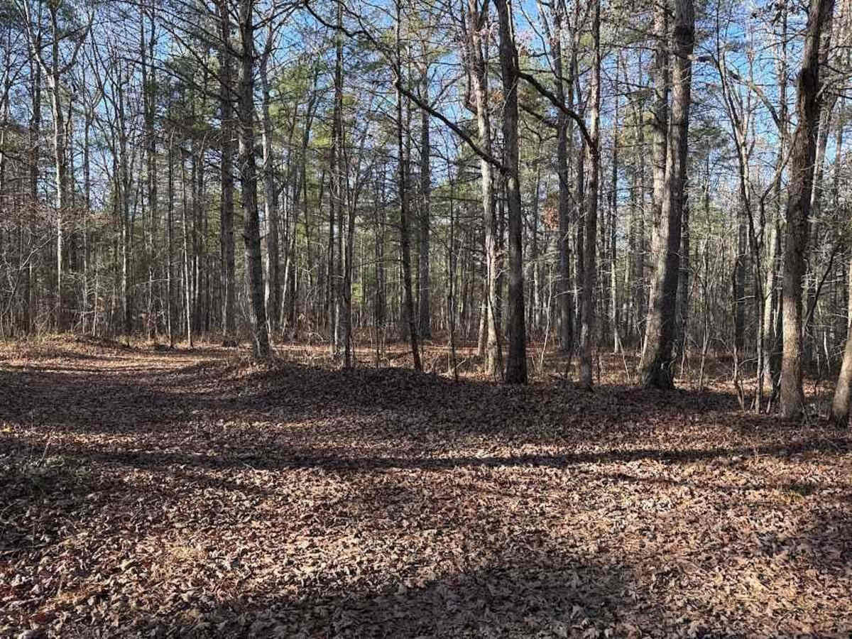 Cold Springs - FR 77 photo 3