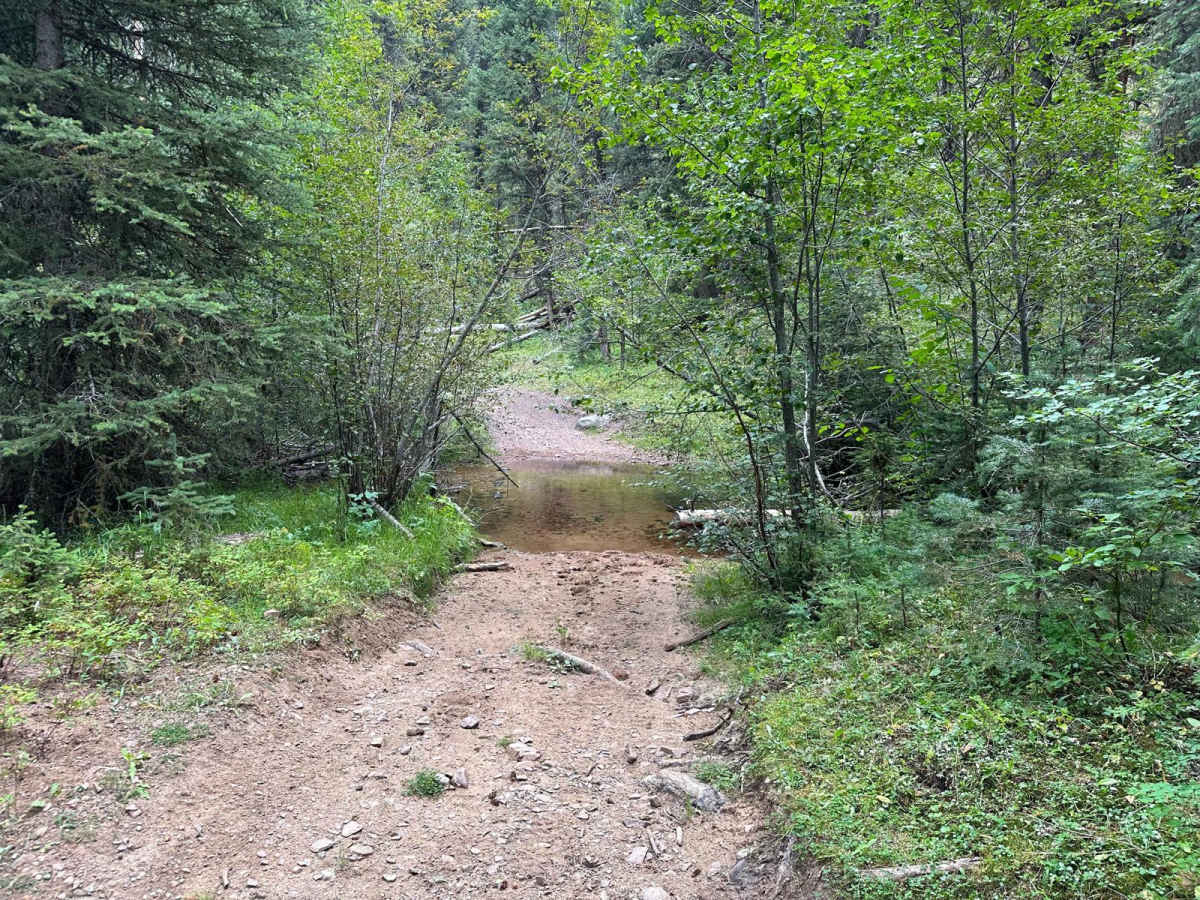South Boulder Creek Loop photo 5