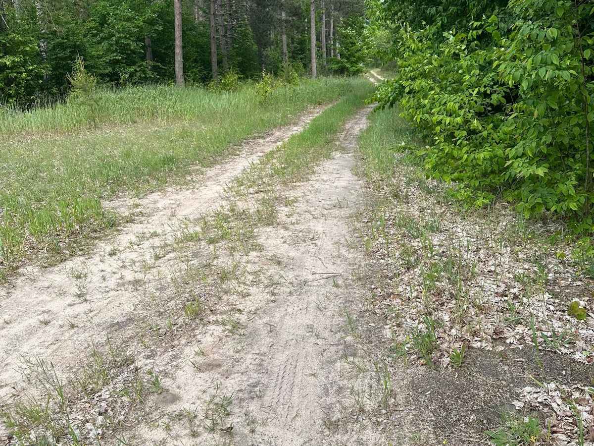 South Pioneer Loop trail photo
