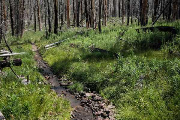 Squaw Creek