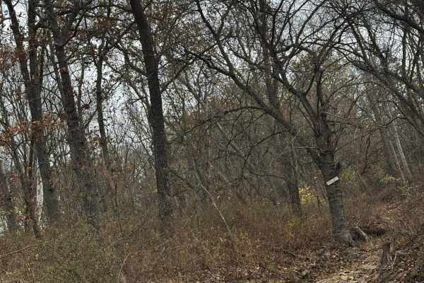 AXC Kids Loop