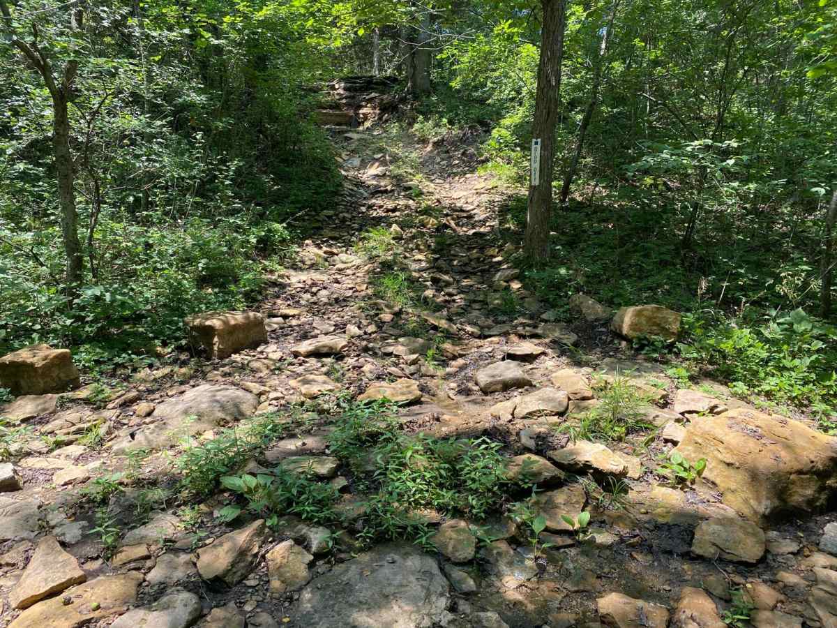 Drop Off trail photo
