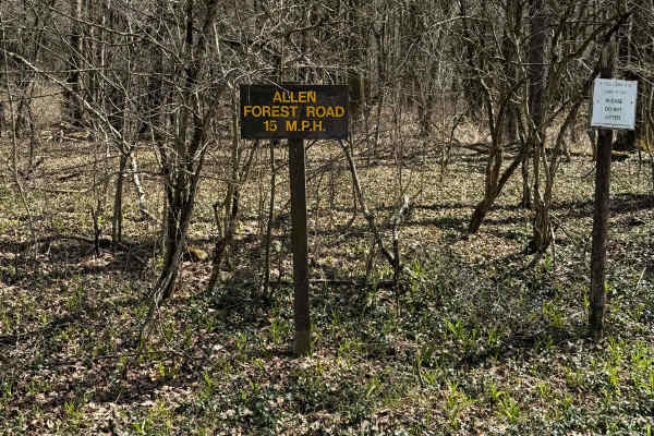 Vandermark Allen Forest Road