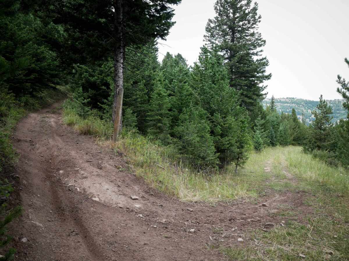 Bangtail Creek Loop ATV photo 4