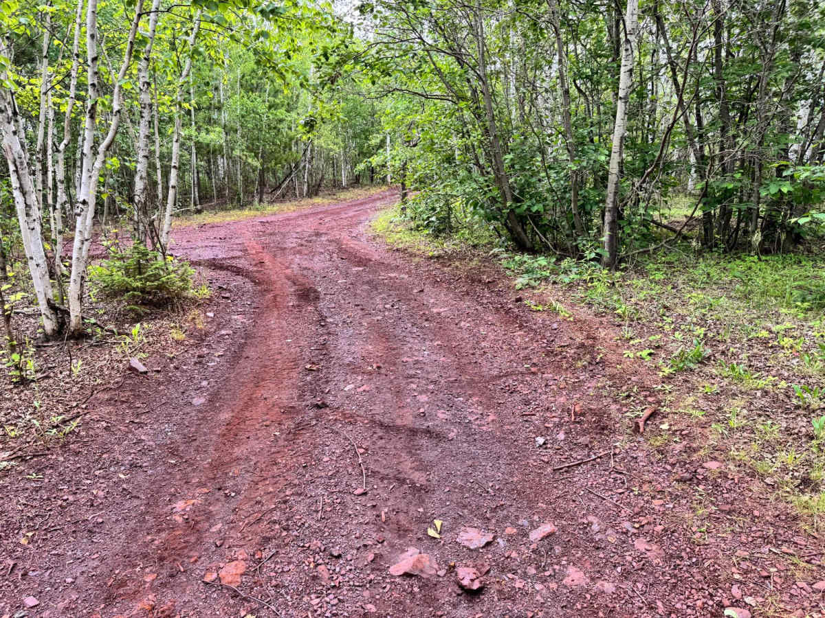 Pinestraw photo 2