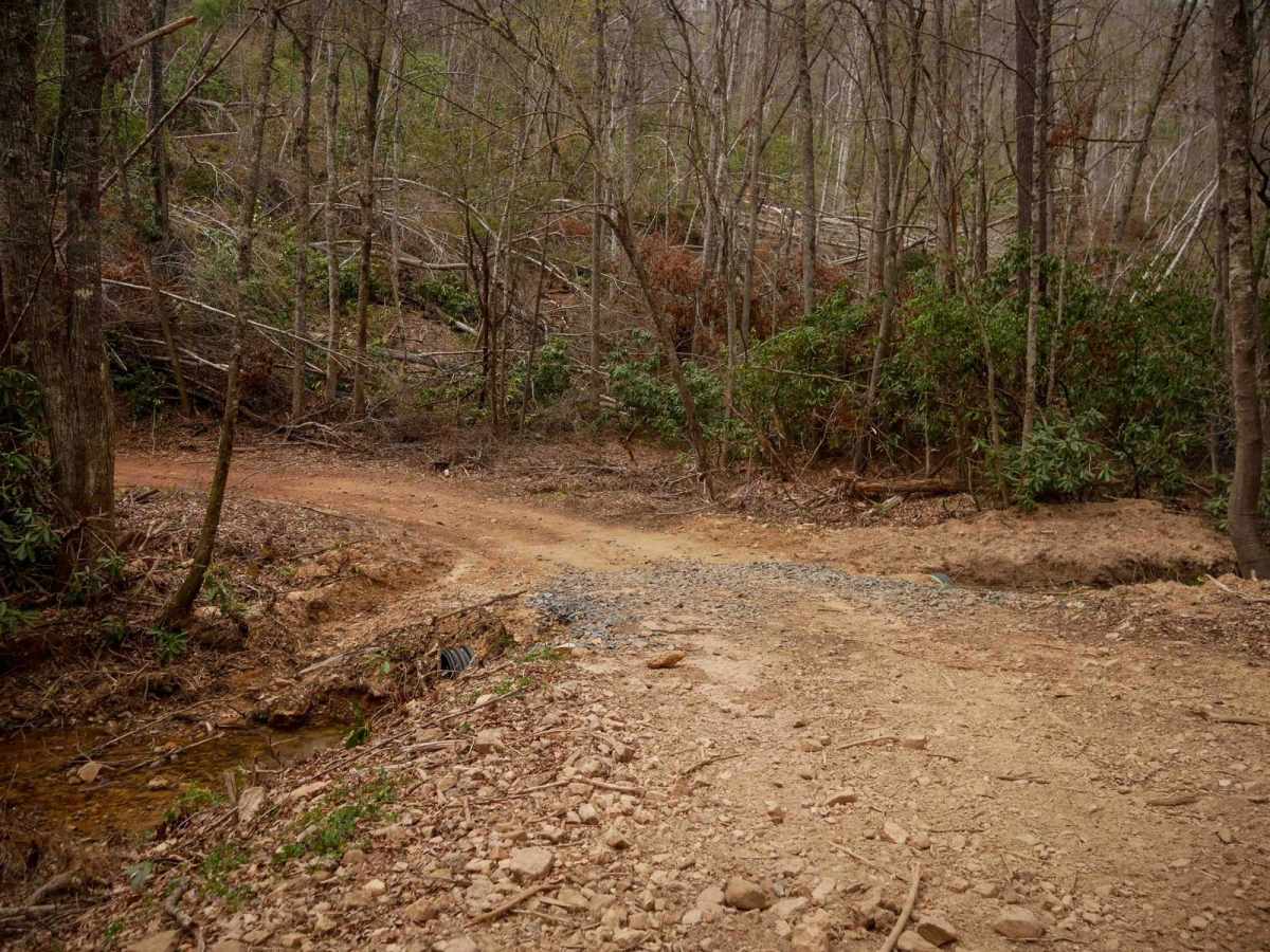 317 trail photo