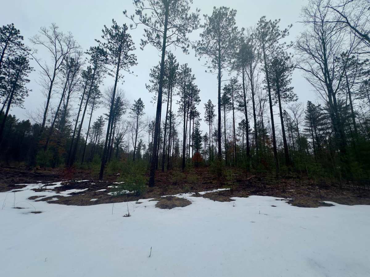 Guernsey Lake Rd photo 4