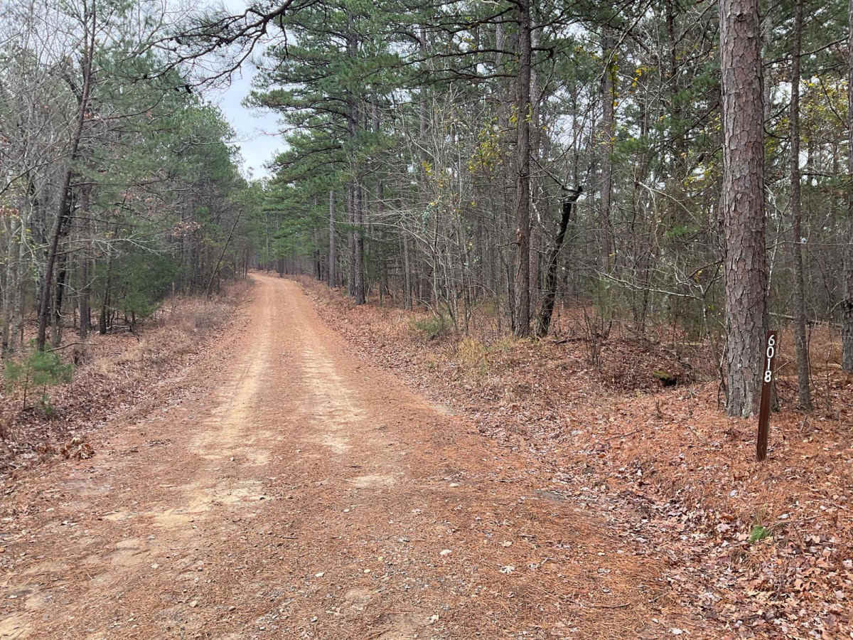 Tram Ridge Trail trail photo