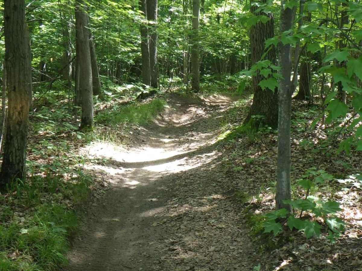 West Higgins Trail - North Border, 14485, and 14487 photo 4