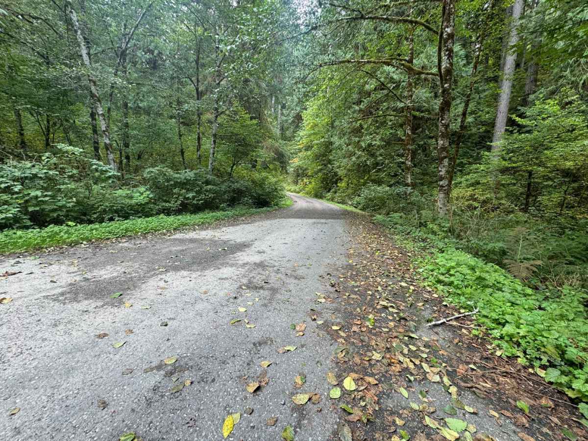 Clear Creek trail photo