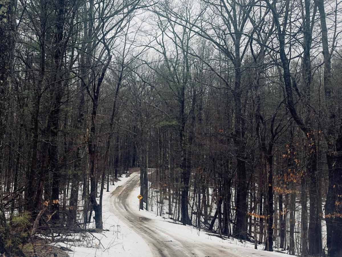 Traverse Trail- LP55 photo 6