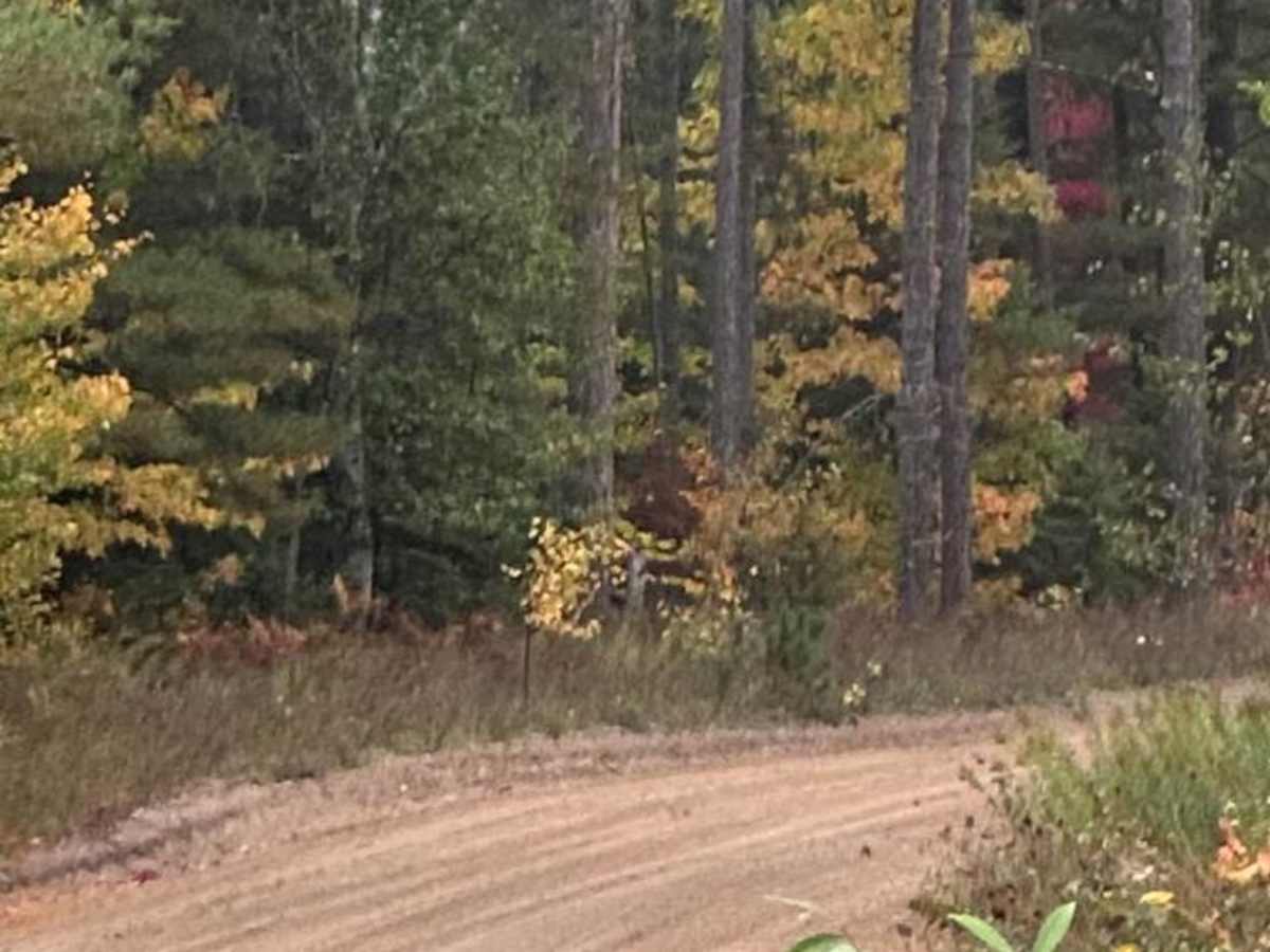 CR 414 photo 5