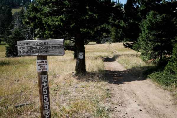 Bishop Park ATV