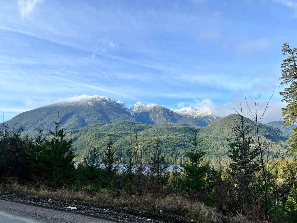Little Bear Bay photo 4