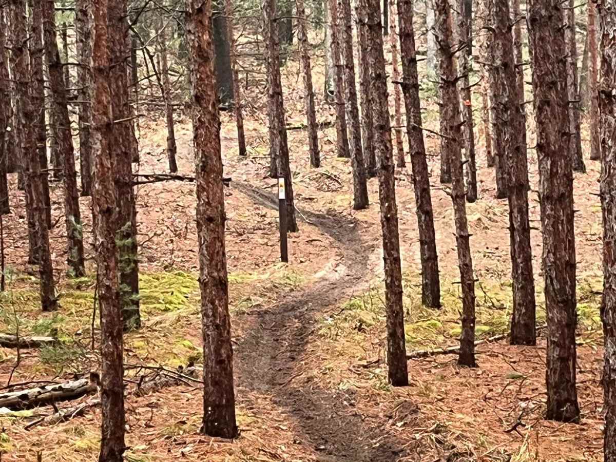 Horseshoe Motorcycle Trail Part 4 trail photo