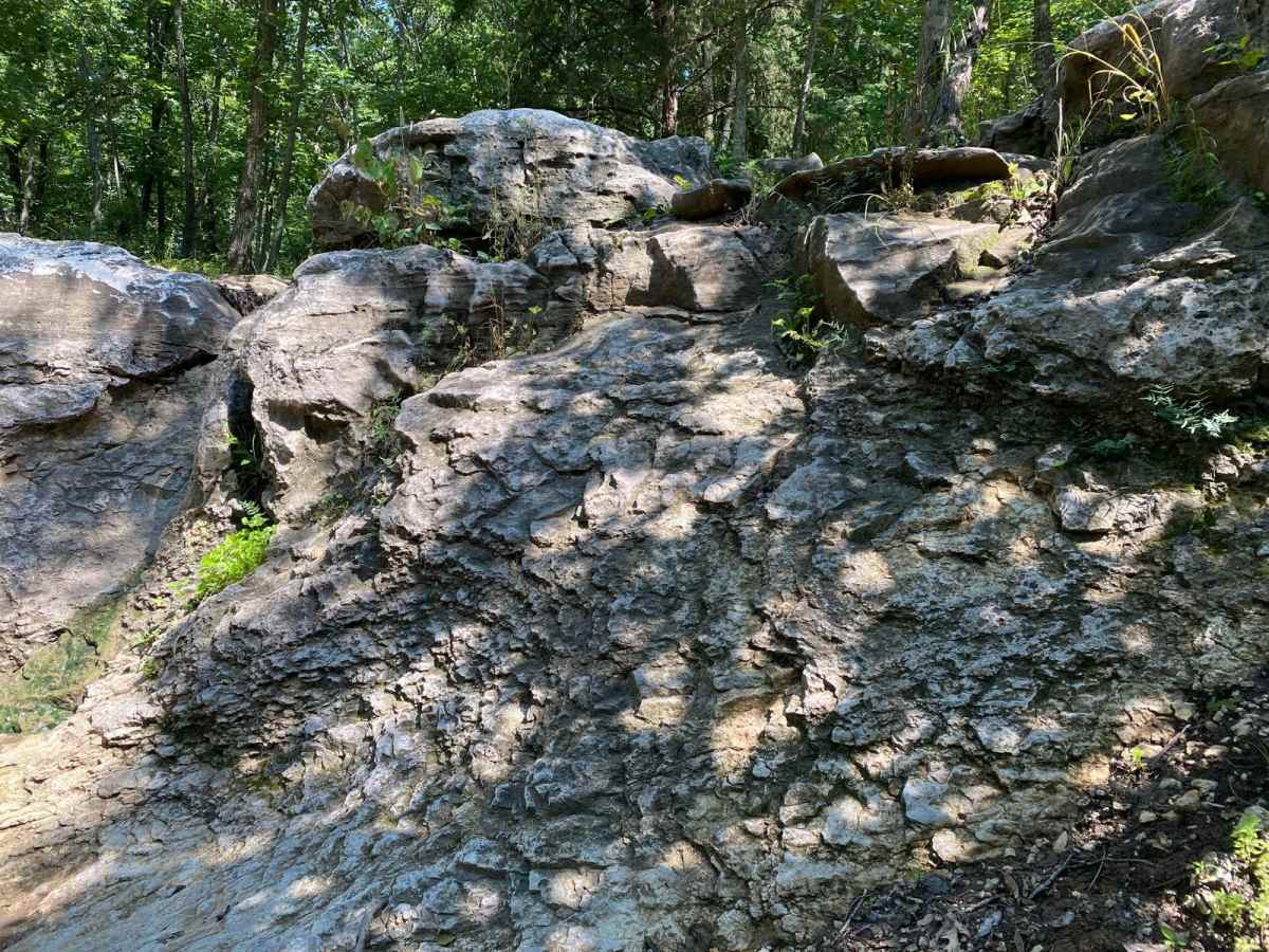 Head Wall photo 2