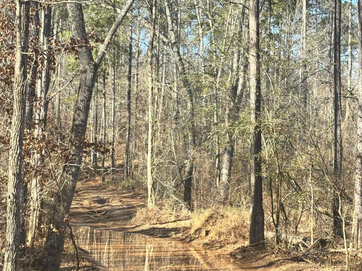 17 trail photo