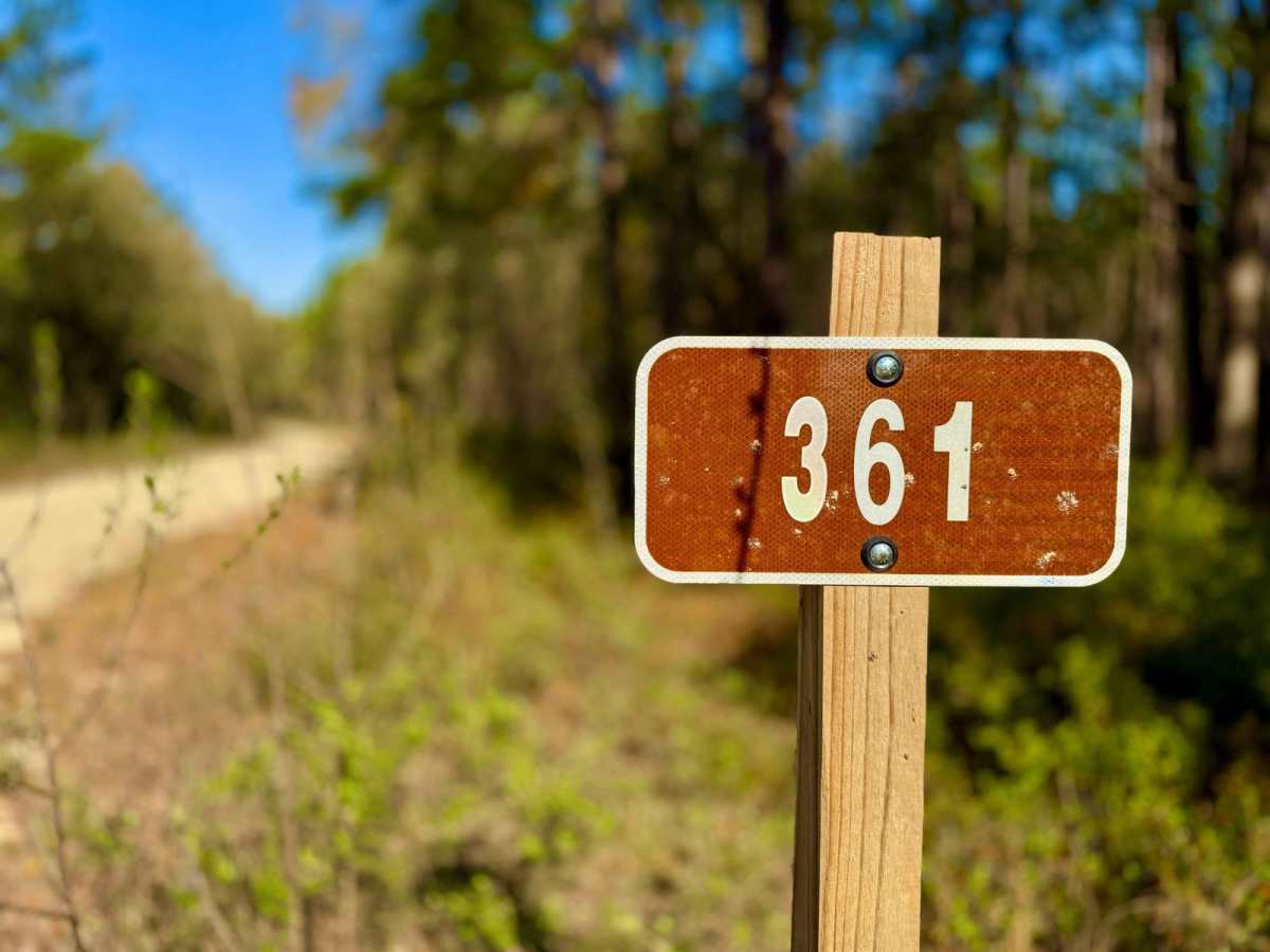 Maige - FS 361 trail photo