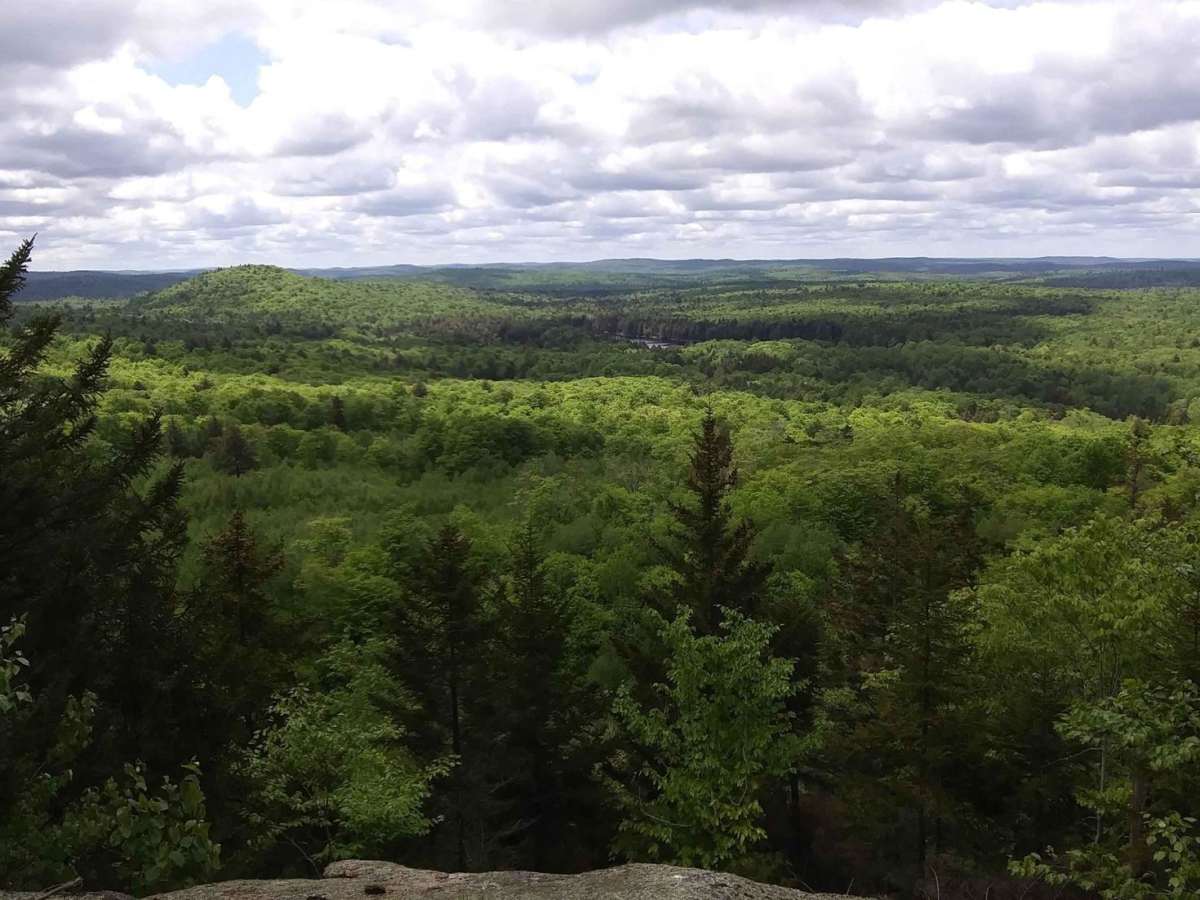 Long Pond Easement - Baldface Mountain Trail photo 3