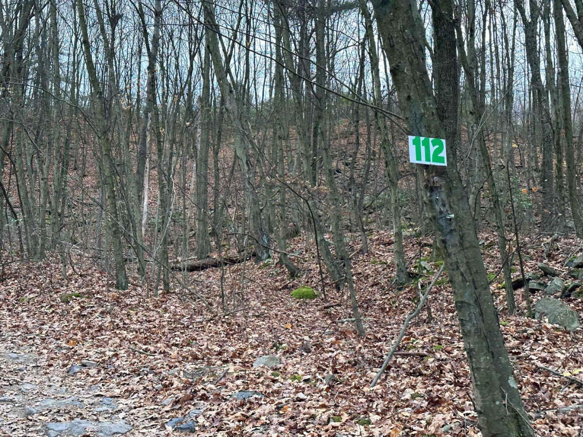 112A photo 3