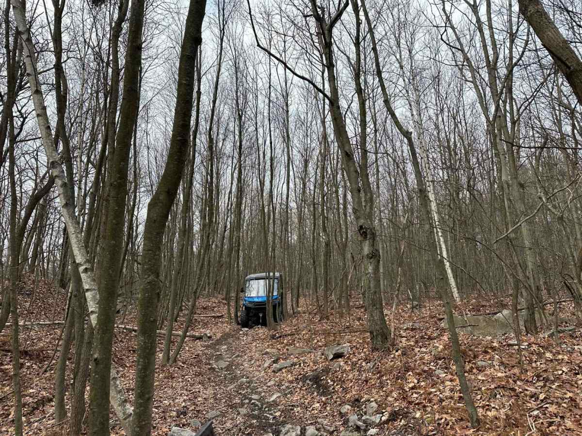 Locust Gap 53 trail photo