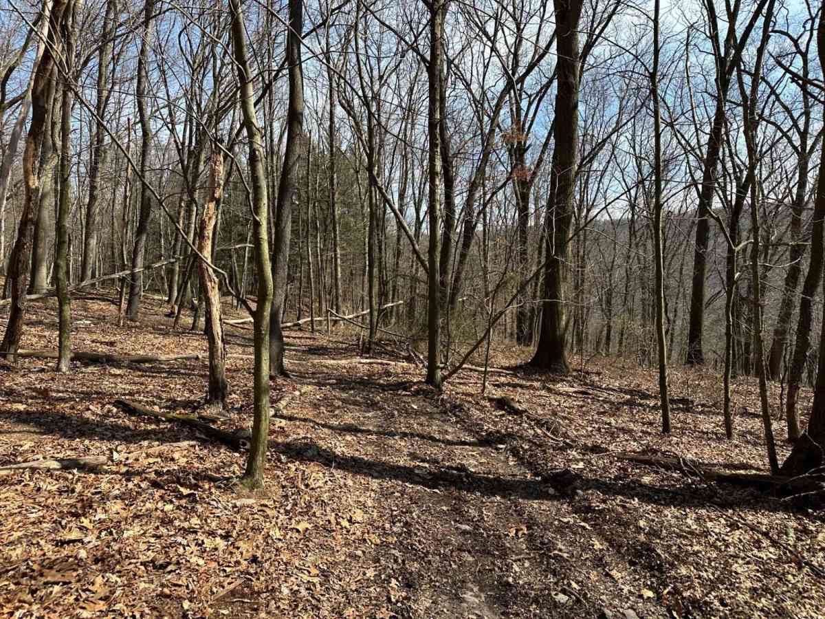 Ashland 98 photo 4