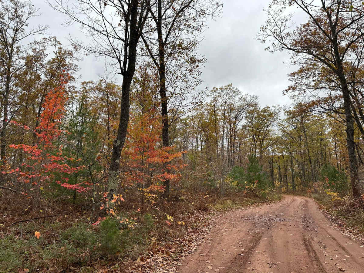 Hemmings Lake Road photo 4