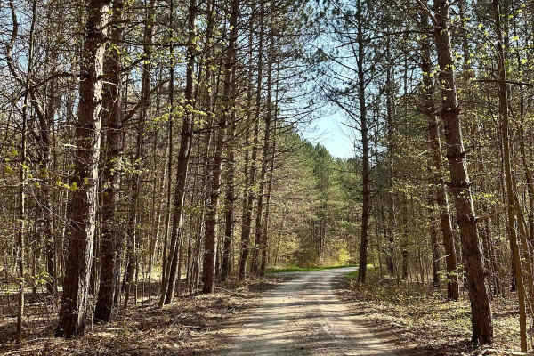 Cadillac Area ORV/OHV Scenic Ride - Part 9