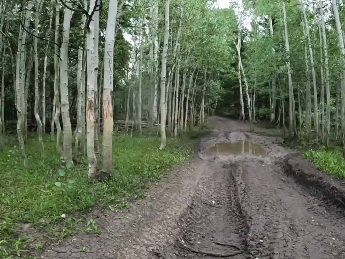 Willow Bunch photo 5