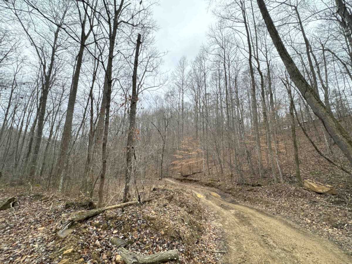 Lawrence Phillips Road to Carpenter Ridge (FSR 453) photo 5