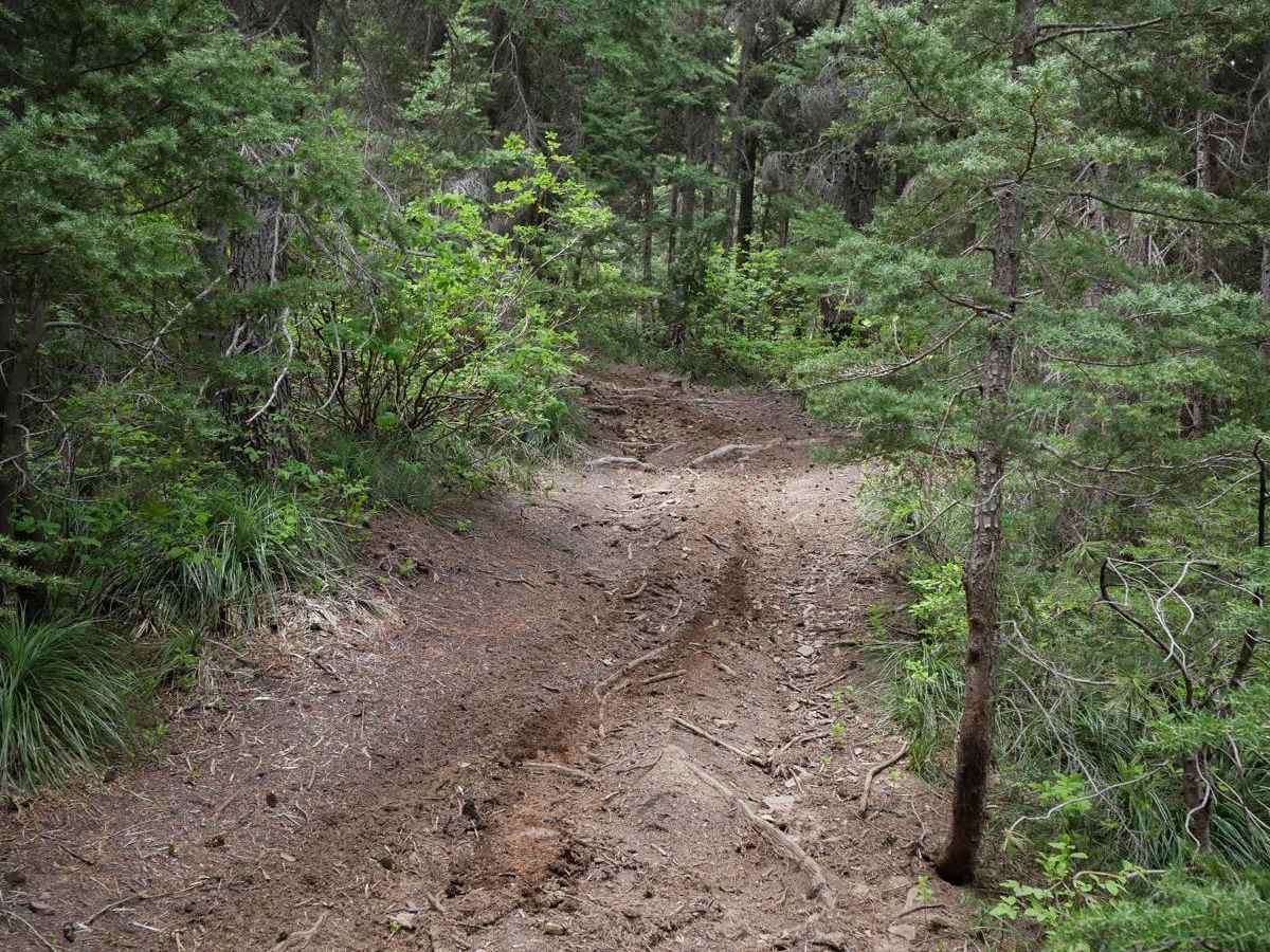 St Joe Divide NRT ATV photo 5