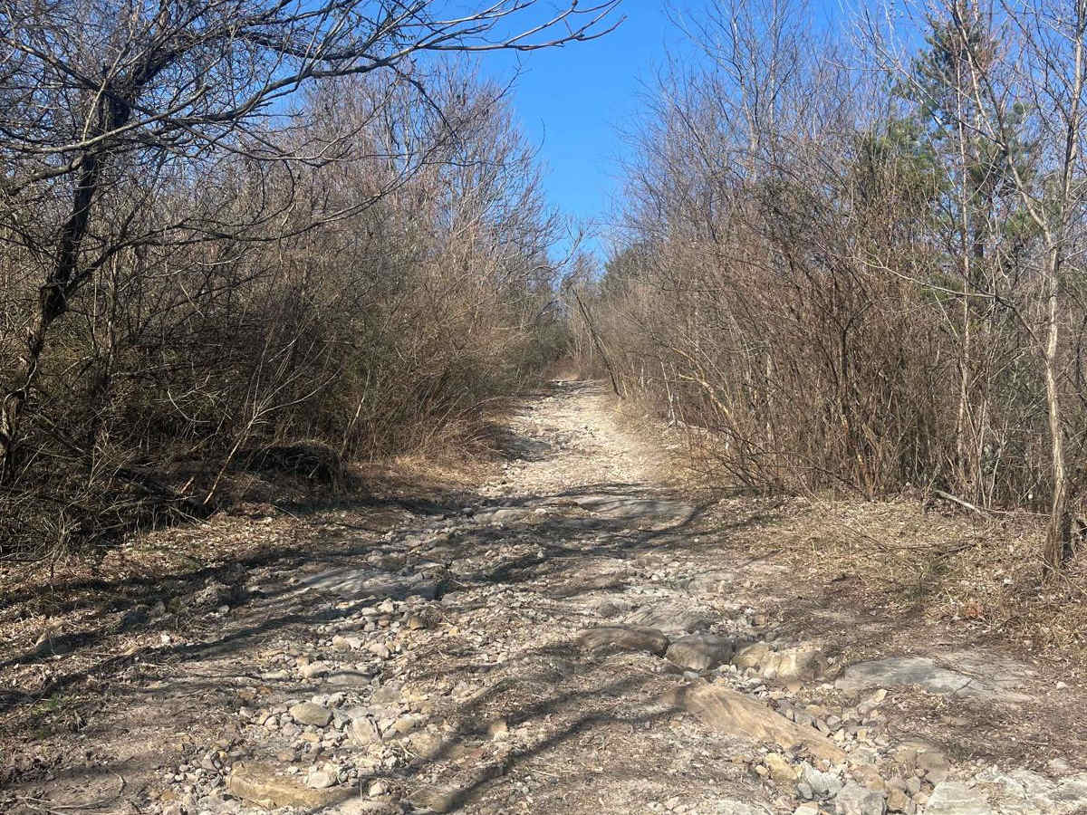 Trail 18 photo 5