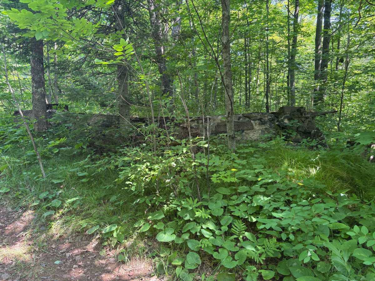 Berkshire Tower Ruins photo 6