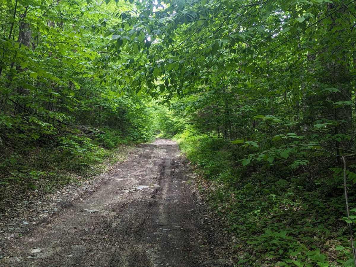 Adams Road photo 3