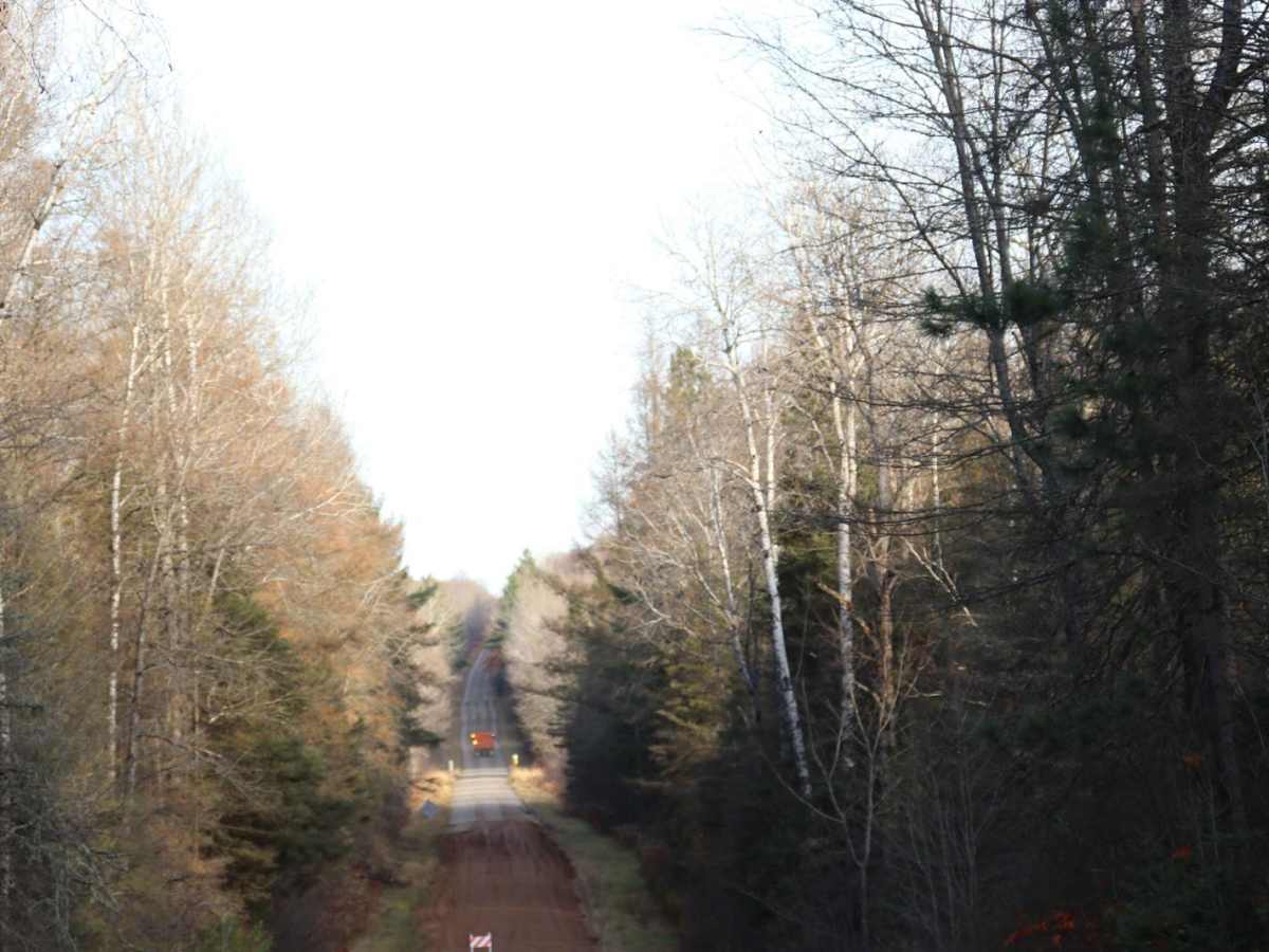Long Lake Road - FS 2168 photo 3