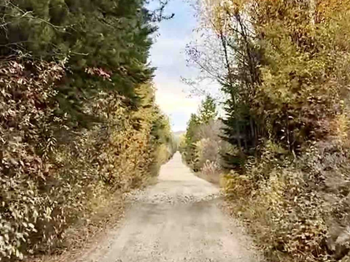 Chute-Gillard Connector photo 6