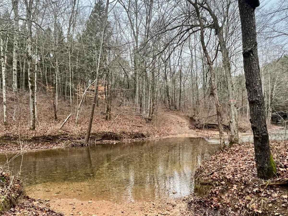 Old Mill Creek Road trail photo