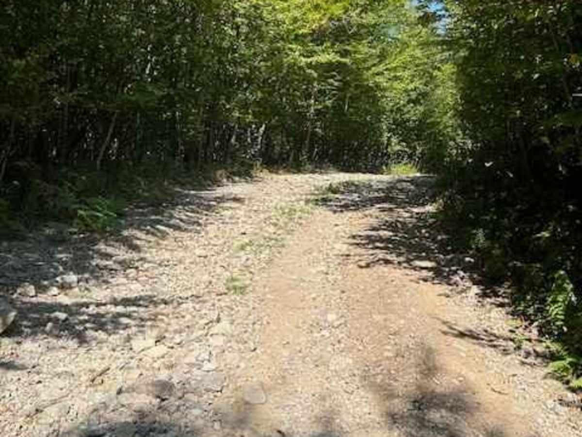 Picketville Road photo 4